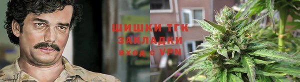 мдпв Дмитров