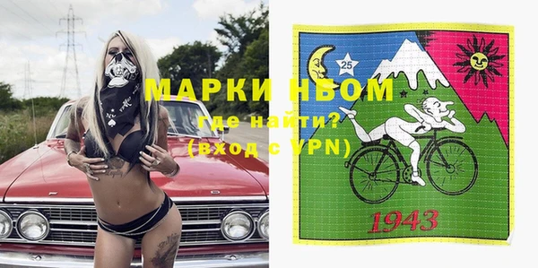 прущие грибы Дмитриев