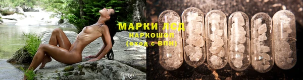 Альфа ПВП Гусь-Хрустальный