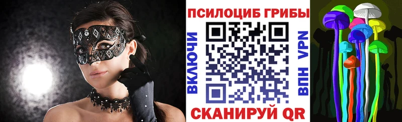 мориарти клад  купить наркотики сайты  Духовщина  Галлюциногенные грибы Psilocybine cubensis 